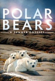 Polar Bears: A Sum