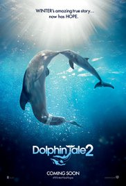 Dolphin Tale 2 (20