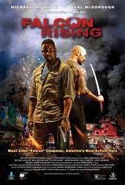 Falcon Rising (201