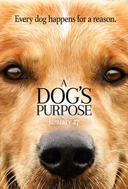 A Dogs Purpose (20