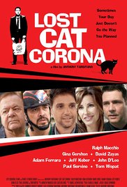 Lost Cat Corona (2
