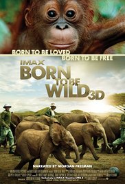 Born to Be Wild (2