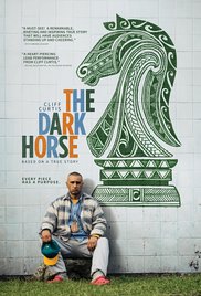 The Dark Horse (20