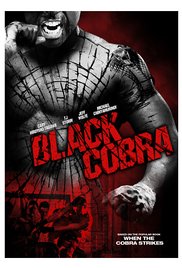 Black Cobra (Video