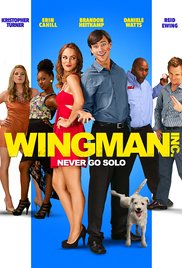 Wingman Inc. (2015