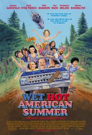 Wet Hot American S